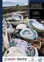 abalone cover
