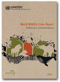 UNODC-report-cover